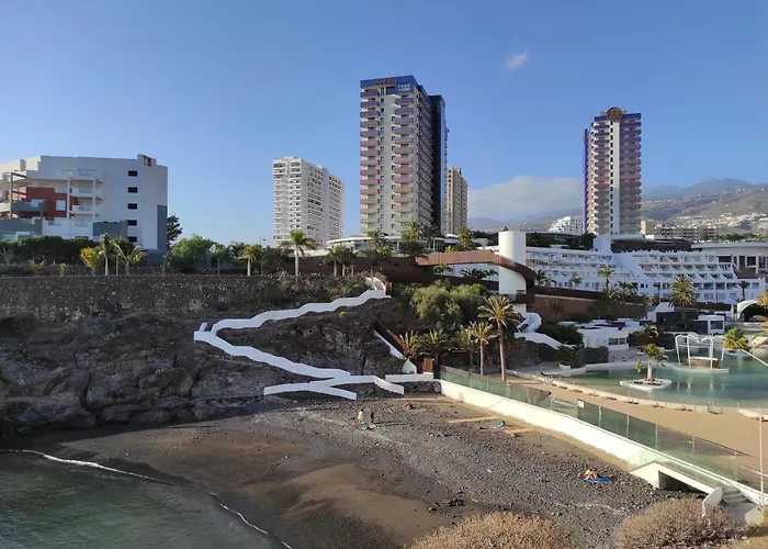 Paradise Flat Near Hard Rock With Pool